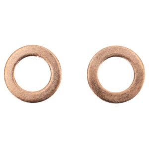 Nissan Maxima Infiniti I30 Front Driver & Passenger Side 2 Piece Brake Hose Set TRQ BLA63698