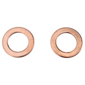 Ford Front Driver & Passenger Side 2 Piece Brake Hose Set TRQ BLA64349
