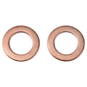 Dodge Chrysler Front Driver & Passenger Side 2 Piece Brake Hose Set TRQ BLA64356