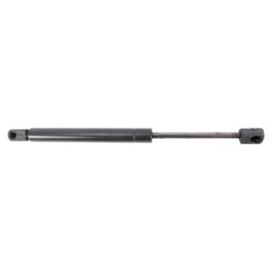 2005-08 Chrysler 300 Trunk Lid Lift Support TRQ GSA09200