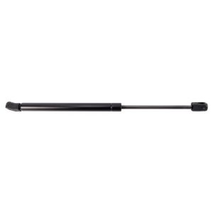 Chevrolet Aveo Aveo 5 Pontiac G3 Liftgate Lift Support TRQ GSA09294