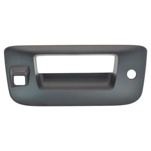 Chevrolet GMC Tailgate Handle Bezel TRQ DHA64634