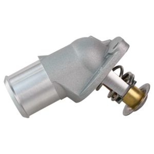 Thermostat with Housing Assembly TRQ ECA92438