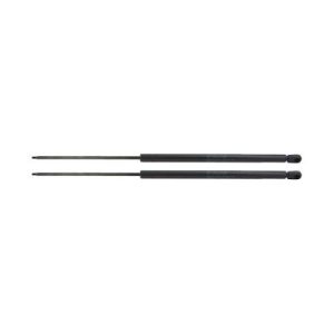 Chevrolet Astro GMC Safari 2 Piece Liftgate Lift Support Set TRQ GSA06798