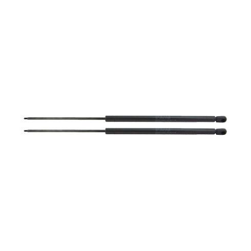 Chevrolet Astro GMC Safari 2 Piece Liftgate Lift Support Set TRQ GSA06798