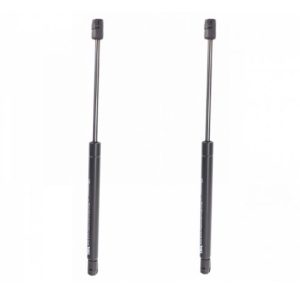 Ford F150 Driver & Passenger Side 2 Piece Hood Lift Support Set TRQ GSA09050