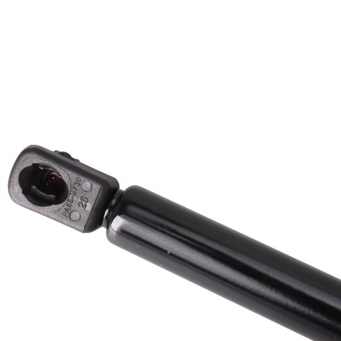 VW Beetle Driver & Passenger Side 2 Piece Liftgate Lift Support Set TRQ GSA44671
