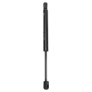 Buick Century Regal Olds Intrigue Driver & Passenger Side 2 Piece Trunk Lid Lift Support Set TRQ GSA44888
