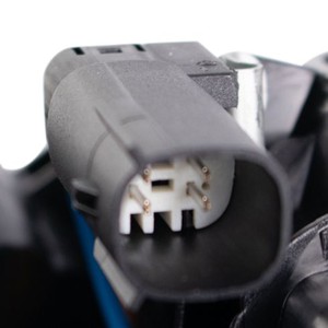 Ford Tail Light Eagle Eyes FR679-B000L