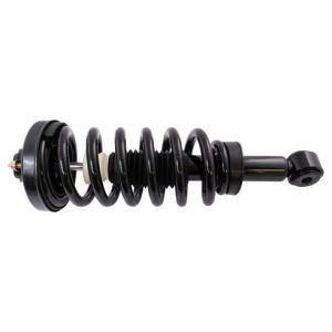 2003-06 Ford Expedition Rear Air Bag to Coil Spring Conversion Kit TRQ SKA62981
