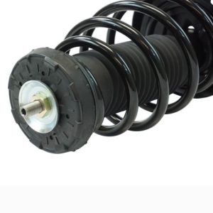 Buick Regal Front Driver & Passenger Side 2 Piece Strut & Spring Assembly Set TRQ SCA57324