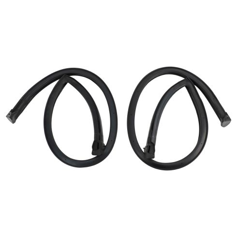 1982-92 Chevrolet Camaro Pontiac Firebird Roofrail Weatherstrip Seal 2 Piece Set TRQ WSA48480