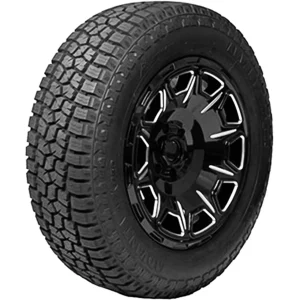 Argus Advanta ATX-850 245/65R17 107S