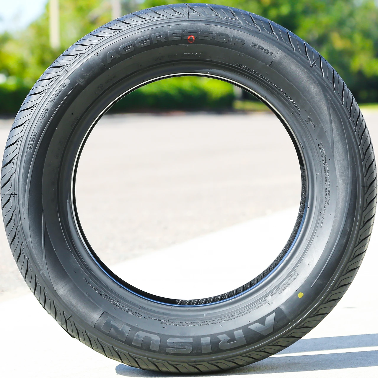 Arisun Aggressor ZP01 195/60R15 88H