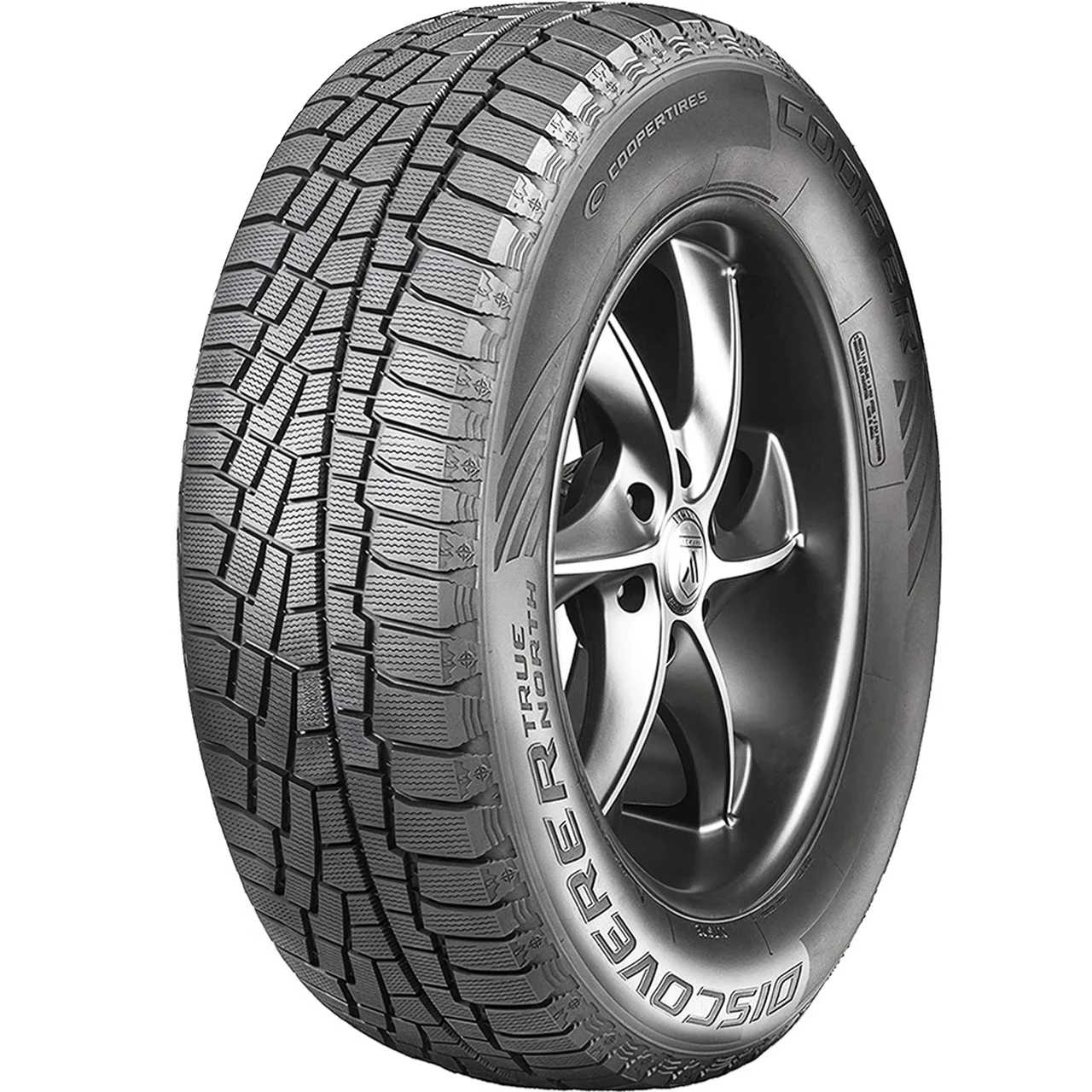 Cooper Discoverer True North 205/55R16 91H