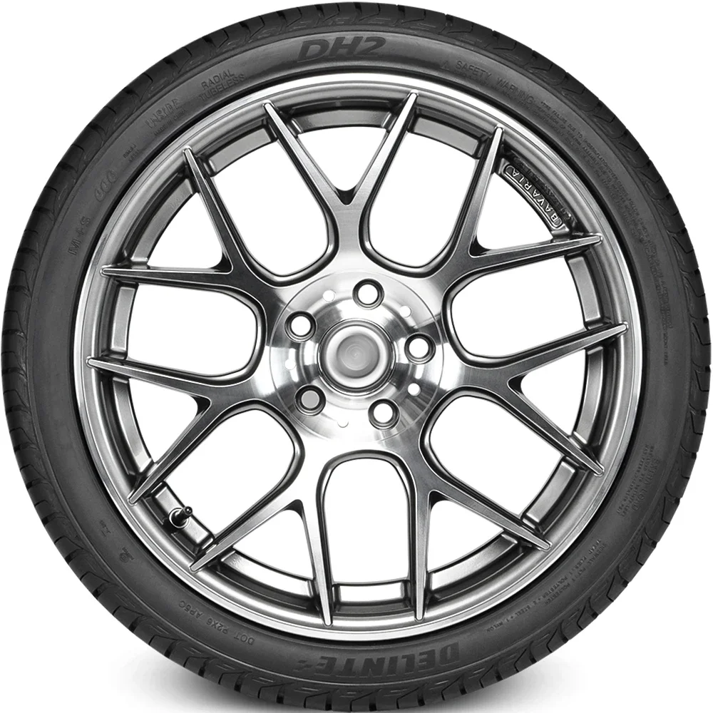 Delinte DH2 175/65R14 82H