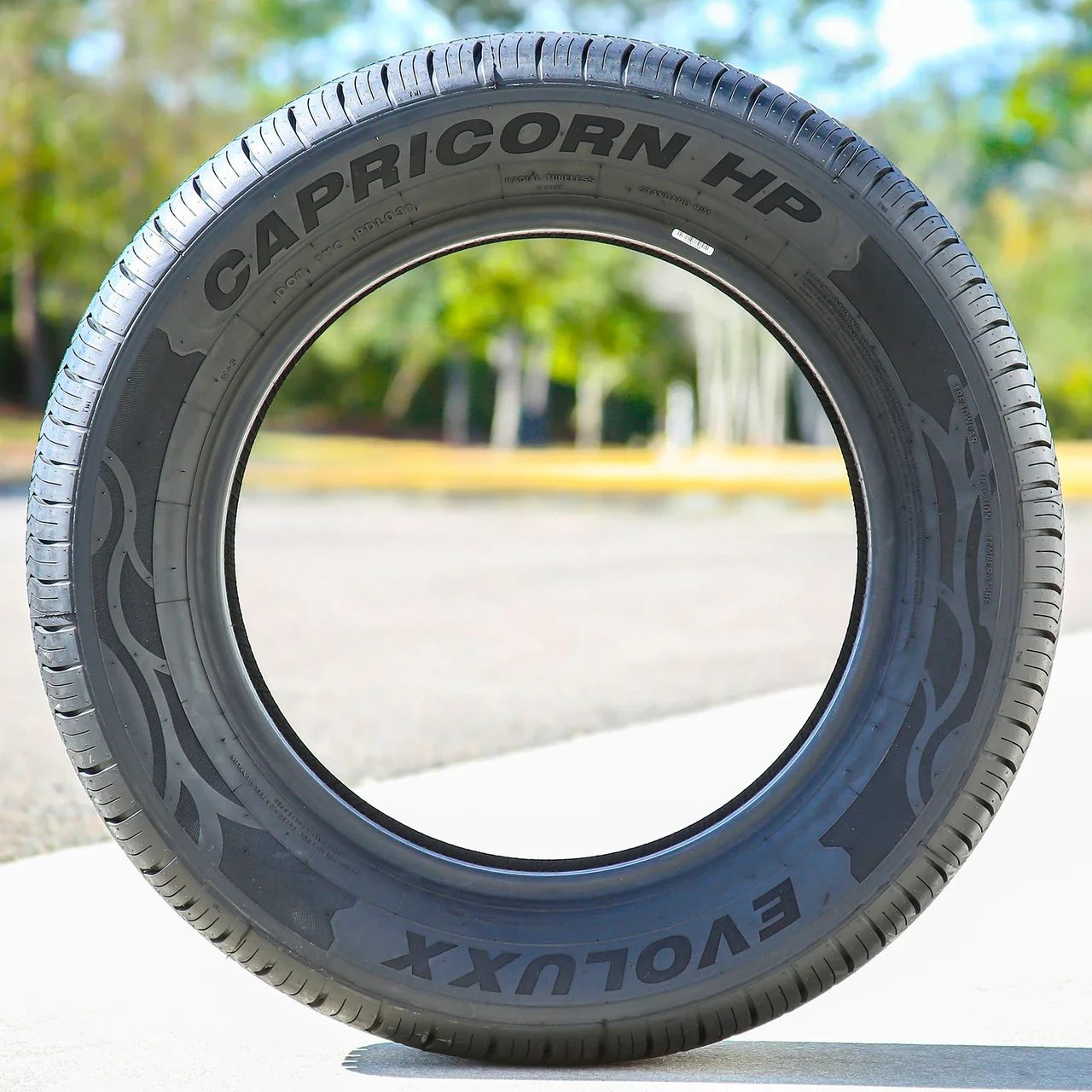Evoluxx Capricorn HP 225/65R17 102H