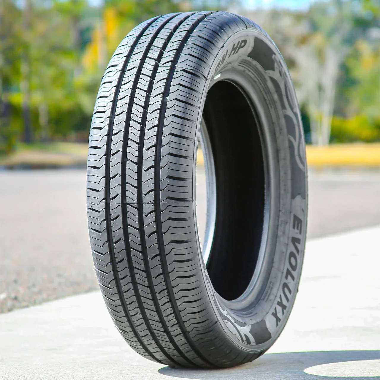 Evoluxx Capricorn HP 225/65R17 102H
