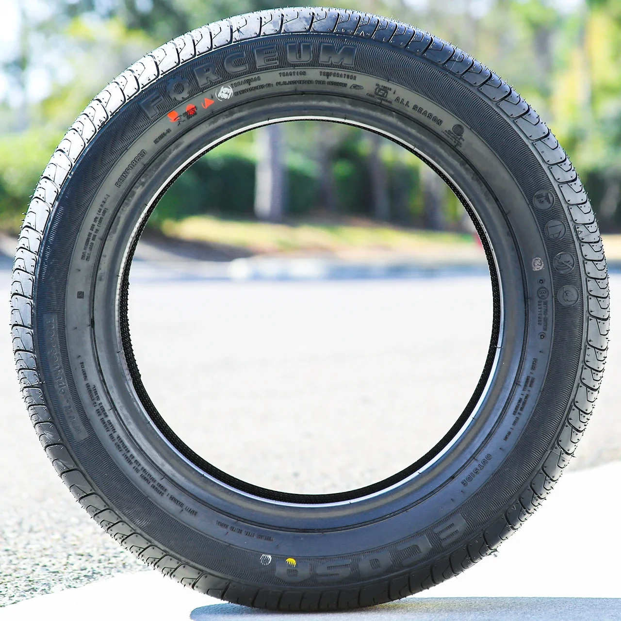 Forceum Ecosa 205/60R15 91V