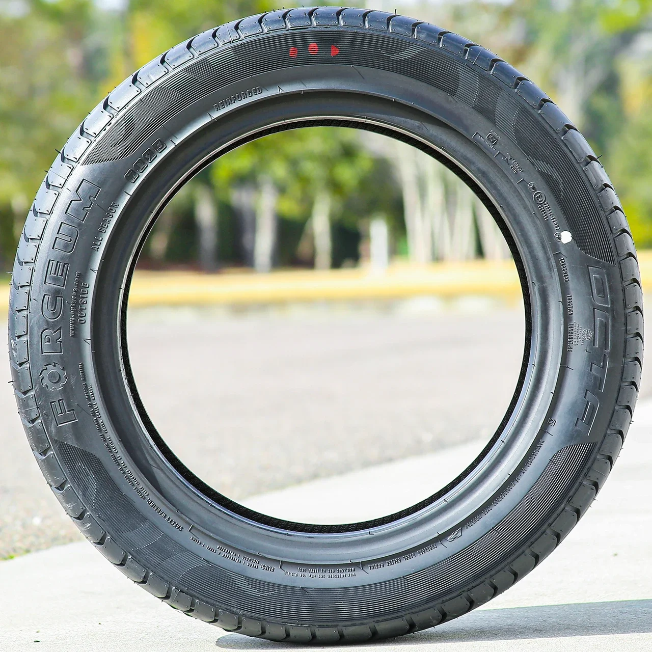 Forceum Octa 245/45R19 ZR 102Y XL