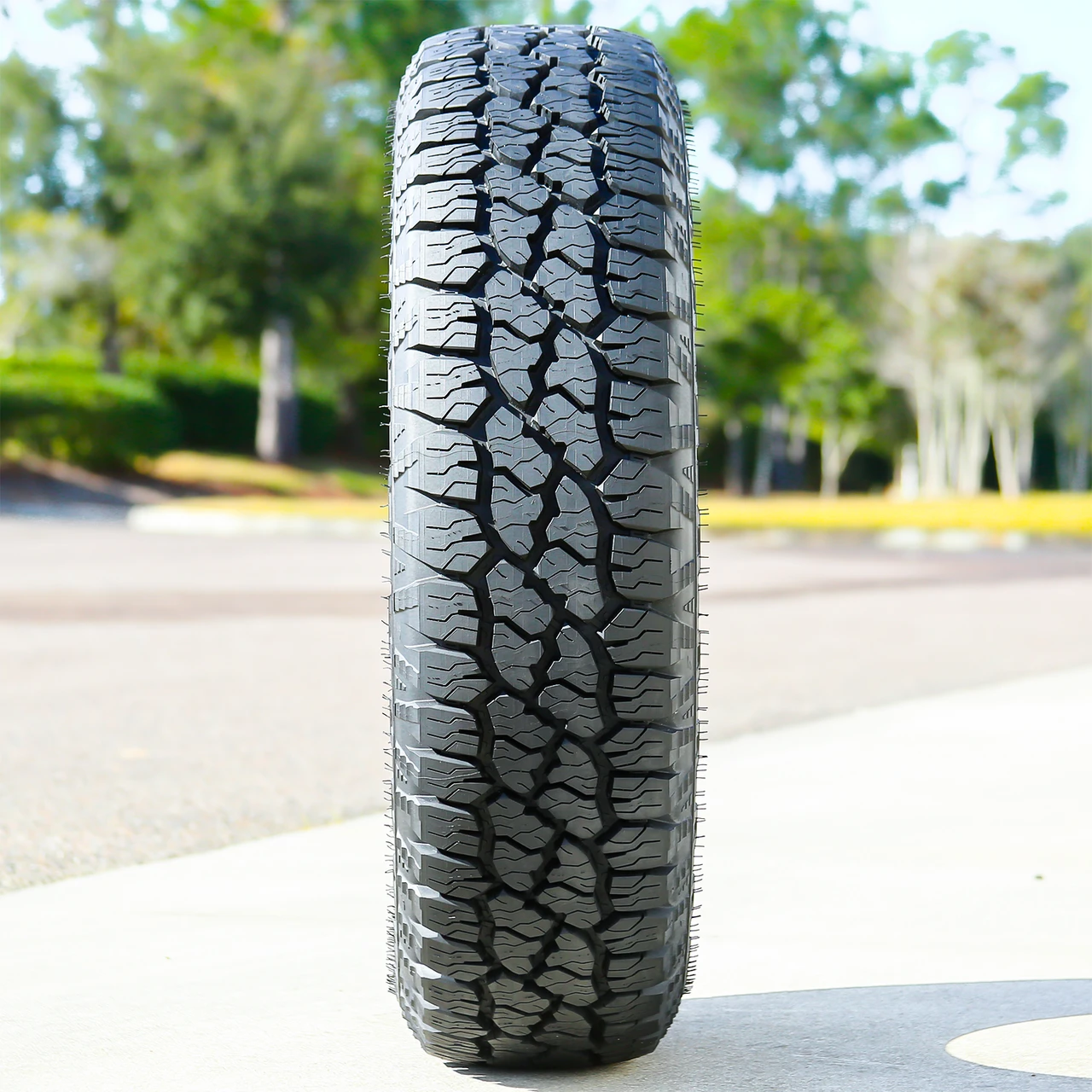 Goodyear Wrangler Workhorse AT LT 225/75R16 115/112R E (10 Ply)
