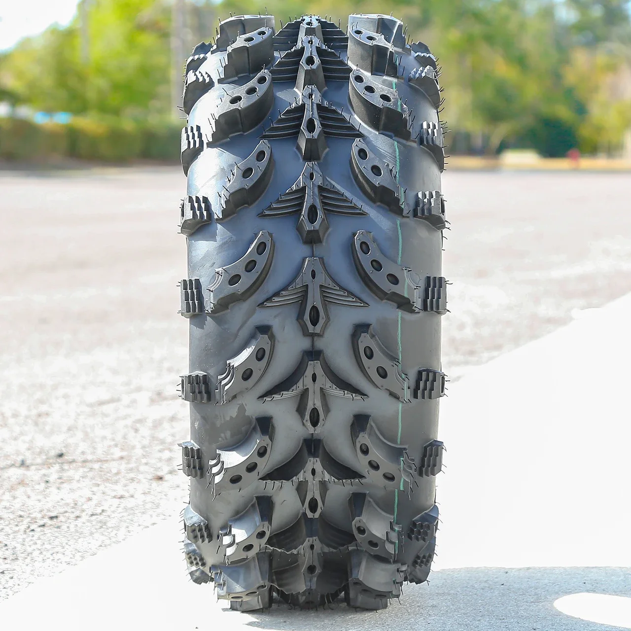 Interco Swamp Lite 25X11.00-10 6 Ply