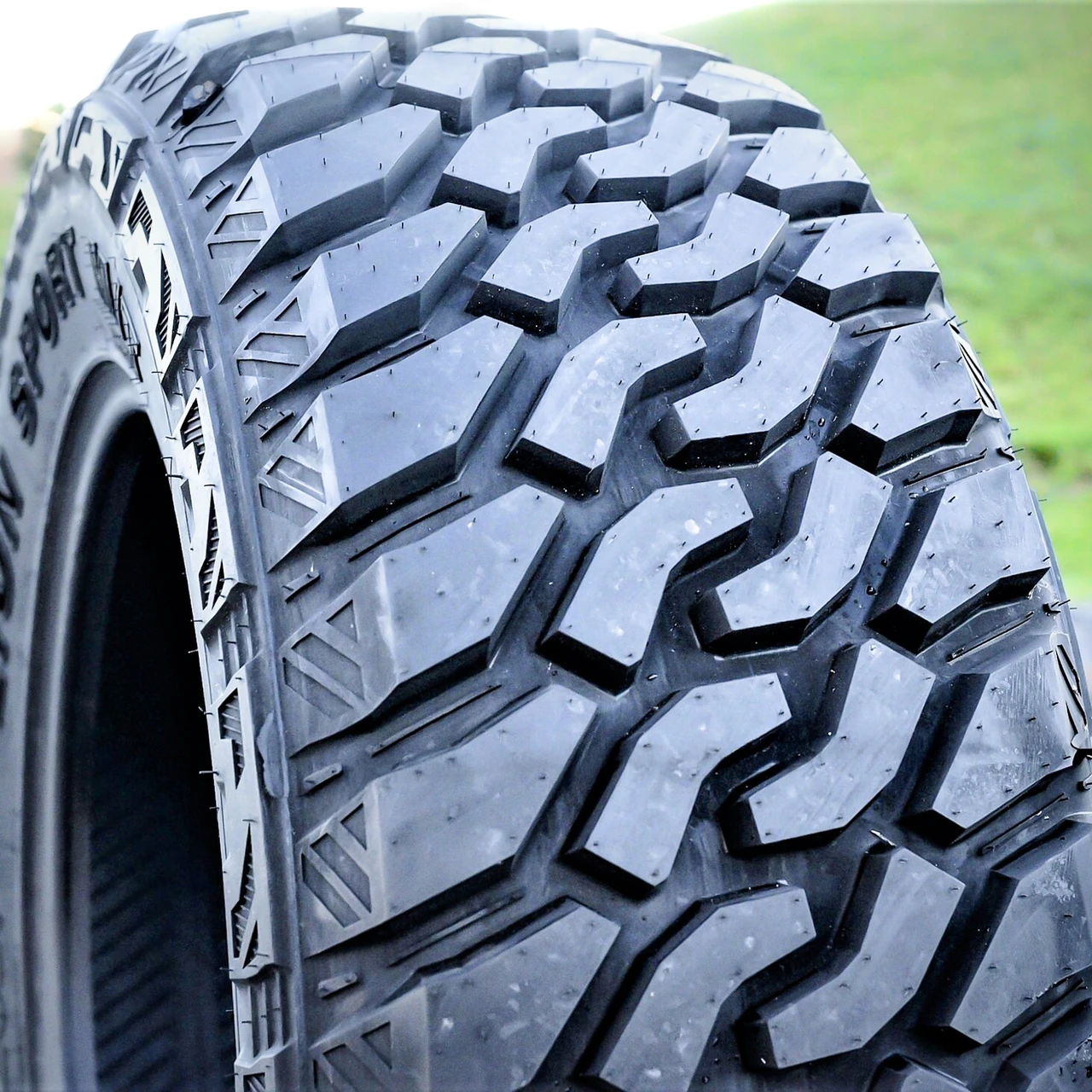 Leao Lion Sport MT LT 305/65R17 121/118Q E (10 Ply)
