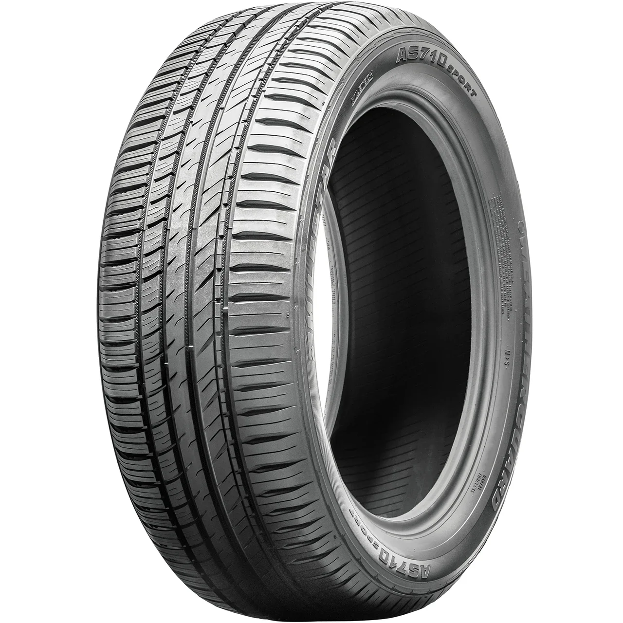 Milestar Weatherguard AS710 Sport 205/50R17 93V XL