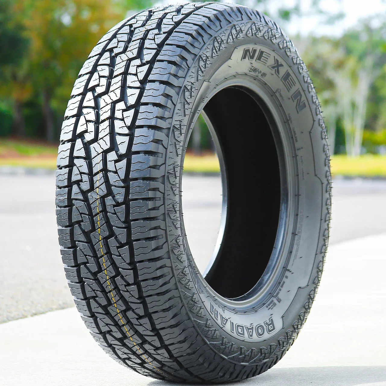 Nexen Roadian AT Pro RA8 LT 225/75R16 115/112R E (10 Ply)