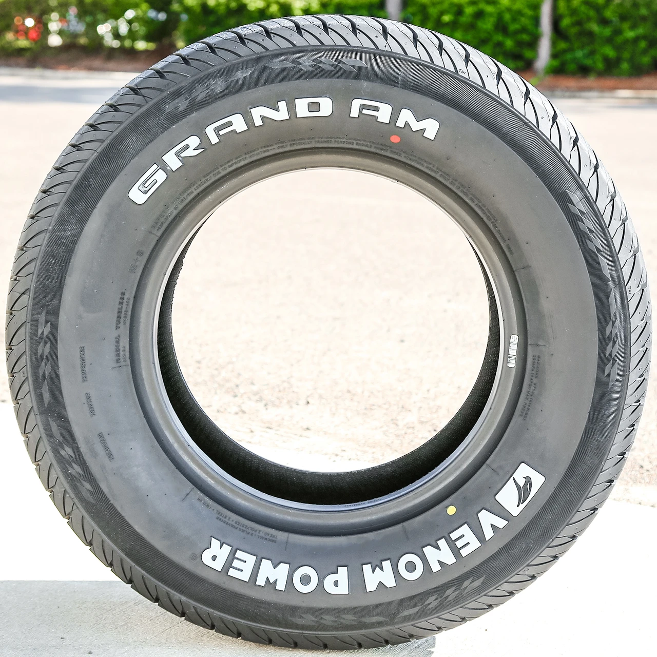 Venom Power Grand AM 255/70R15 112T XL