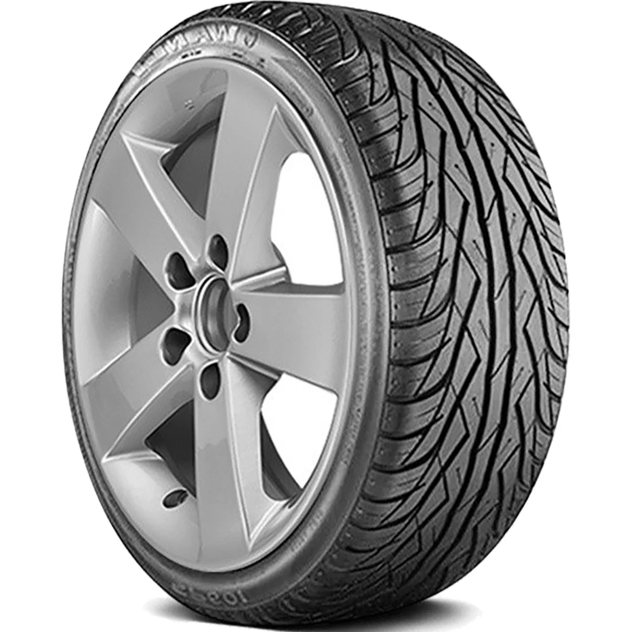 Wanli SP601 245/30R22 ZR 92W XL